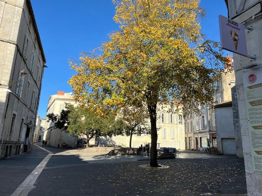 Le Logis Des Templiers Vieux Port Daire La Rochelle  Dış mekan fotoğraf