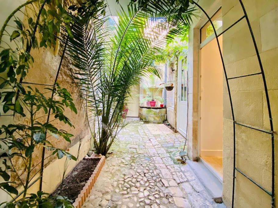 Le Logis Des Templiers Vieux Port Daire La Rochelle  Dış mekan fotoğraf